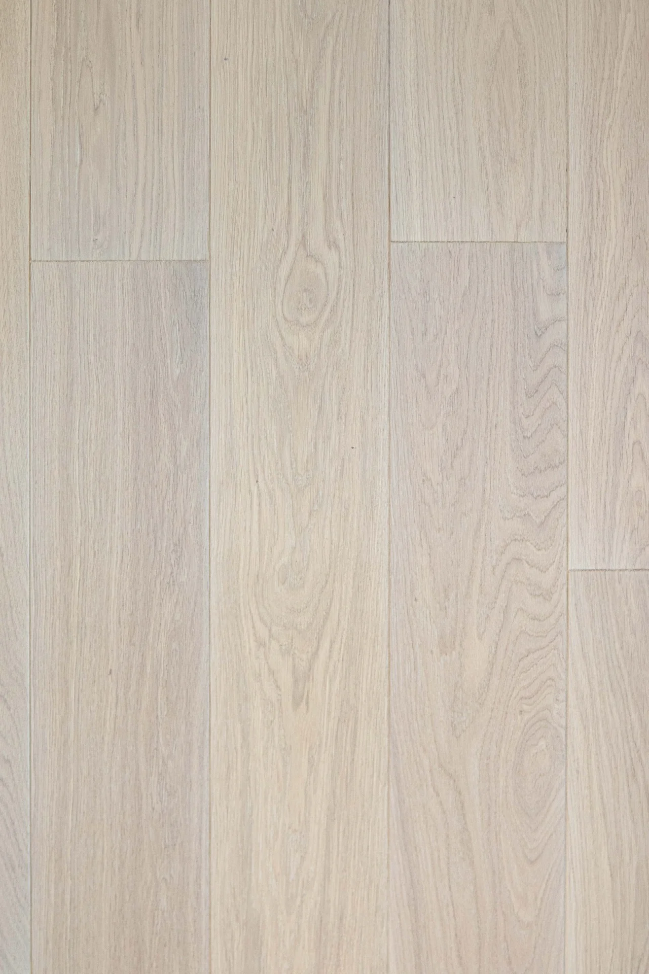 E-2410 Ivory